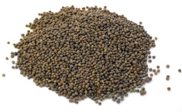 Adi Fiğ Tohumu Ekim Biçimi